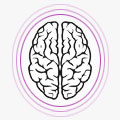 psychologue hpi nantes